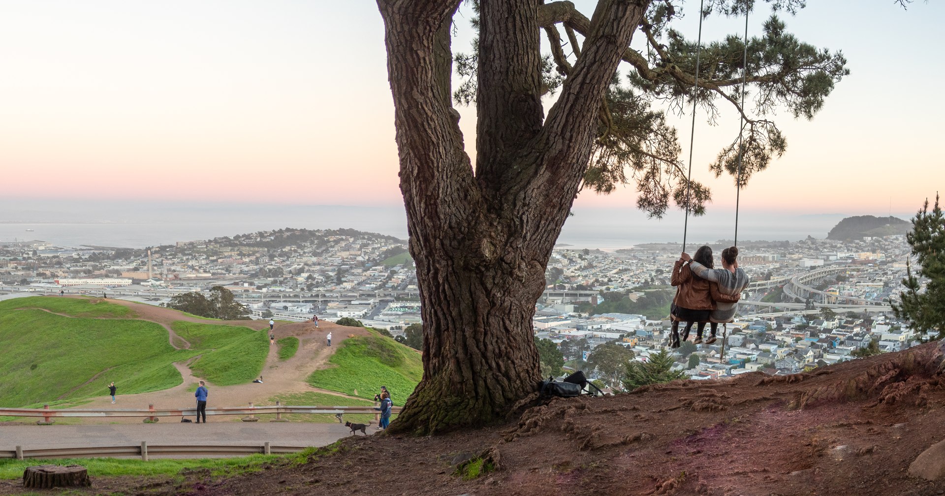 The swing in the trees at Bernal Heights Park, San Francisco, with the city beyond