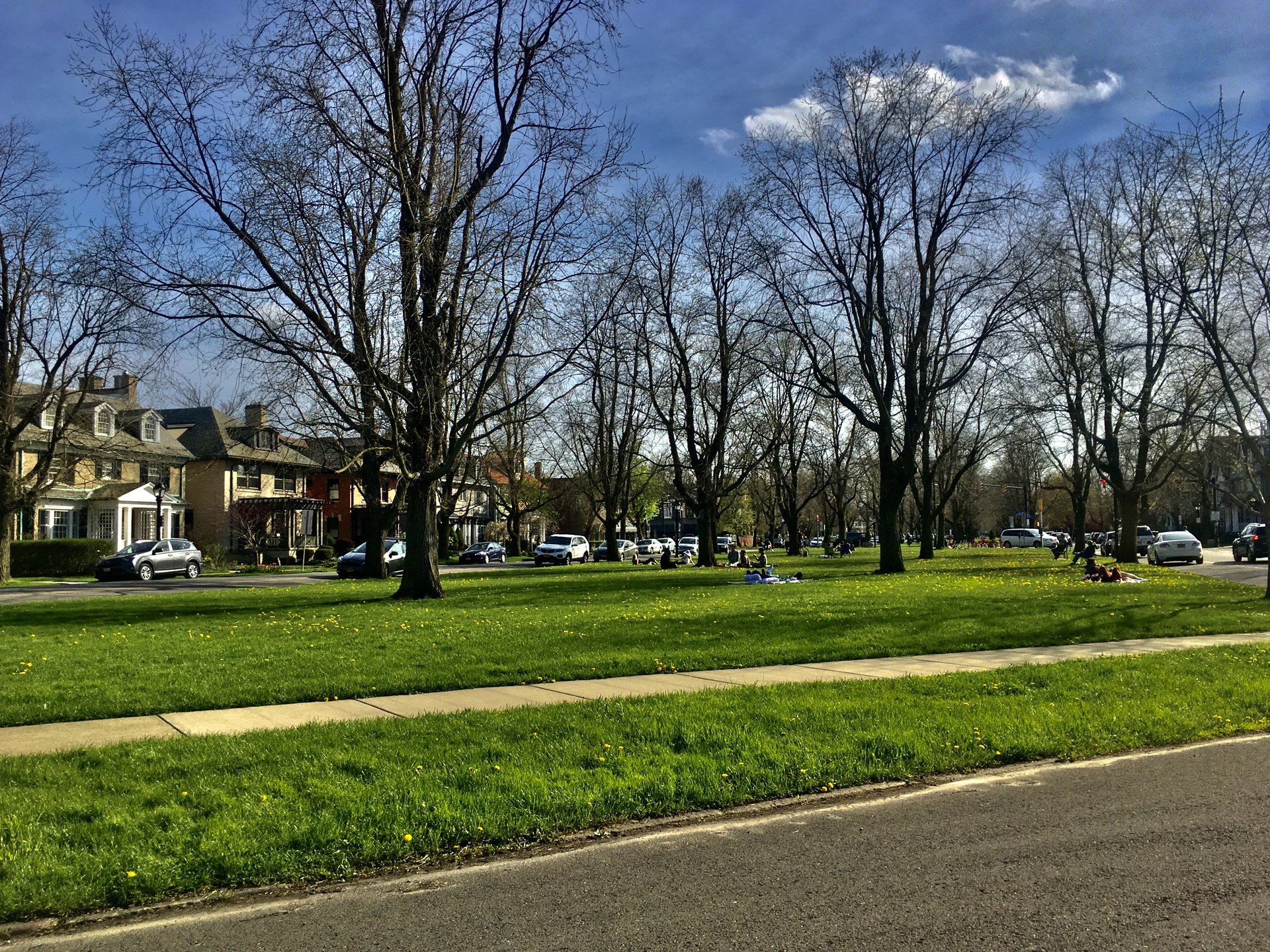Bidwell Parkway in Elmwood Village, Buffalo, with its tree lined median