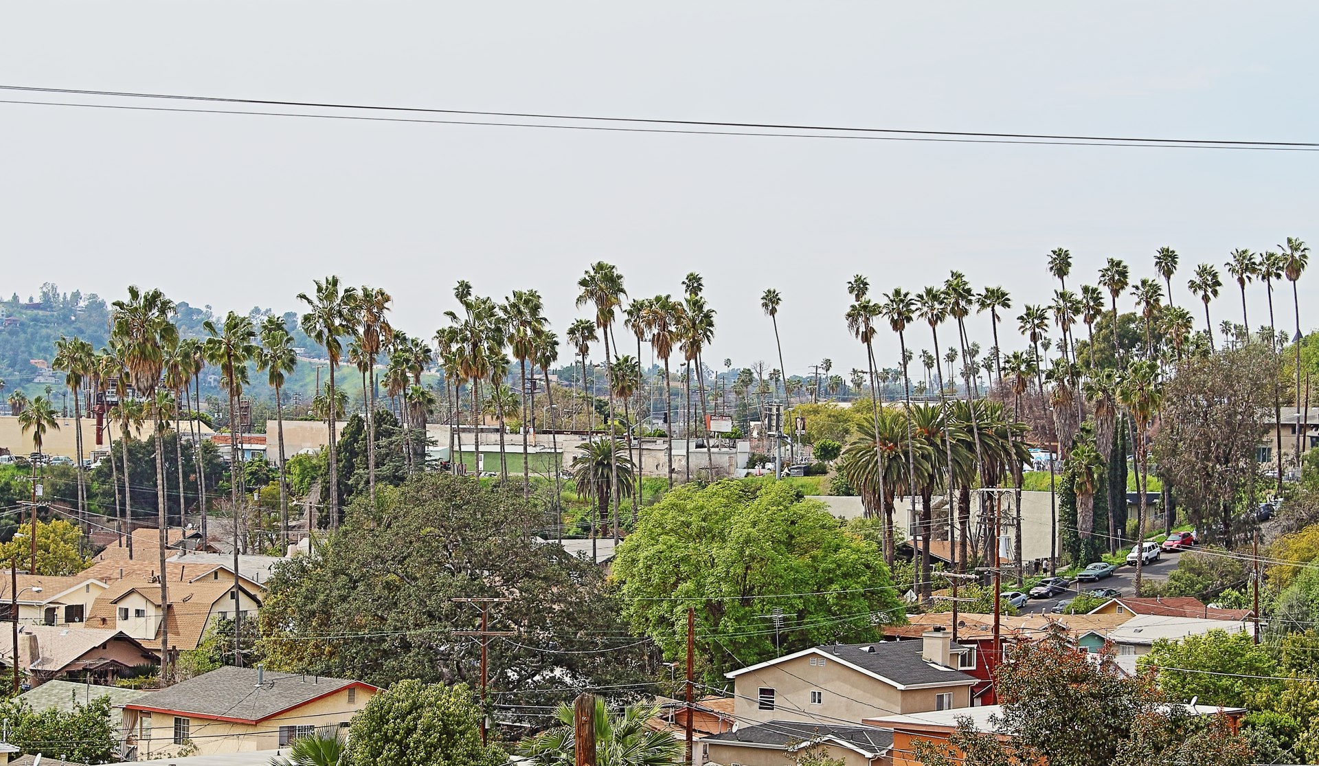 Highland Park, Los Angeles, with its signature palm trees, seen from Avenue 64